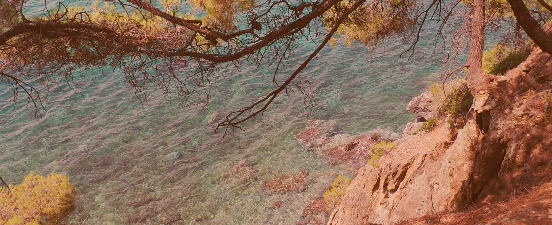 Kathrin Zwer Coaching & Consulting