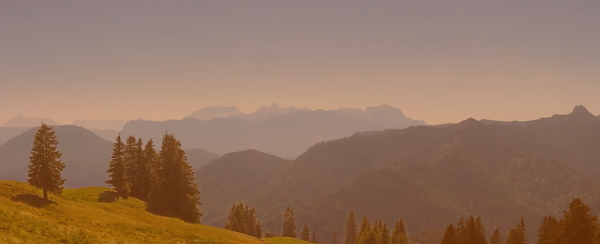 Kathrin Zwer Coaching & Consulting